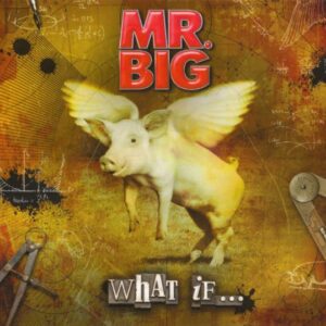 Mr Big: What If (CD + DVD) Digipak