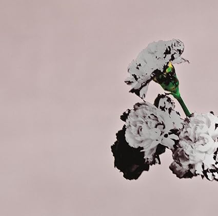 John Legend : Love In The Future (Special Edition)