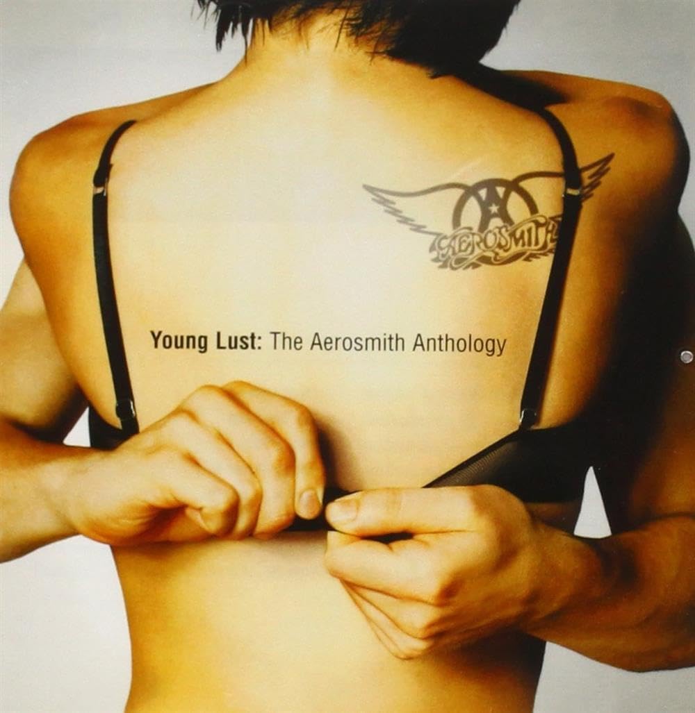Aerosmith: Young Lust: The Anthology 2CD